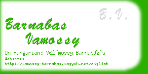 barnabas vamossy business card